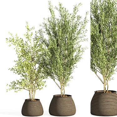 Elegant Plant Stand for Indoor Greenery 3D model image 1 