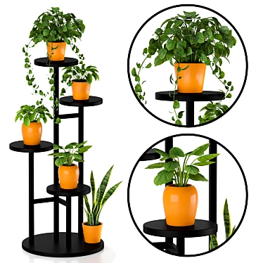 Indoor Plant Stand: Decorative Exotic Pothos & Sansevieria 3D model image 1 