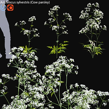 Forest Flower 3D Model Bundle 3D model image 1 