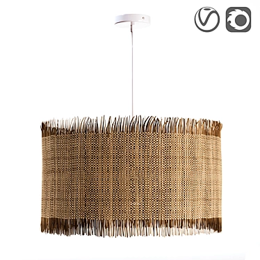 Exotic Raffia Lampshade: Alluzi 3D model image 1 