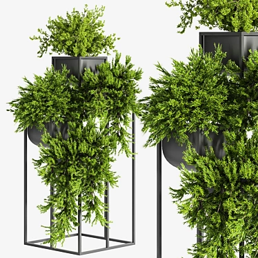 Green Oasis Indoor Plant Set 3D model image 1 