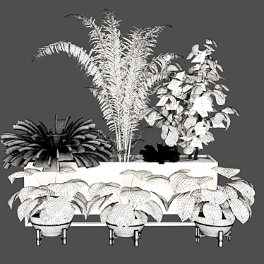 Lush Indoor Plant Set 3D model image 1 