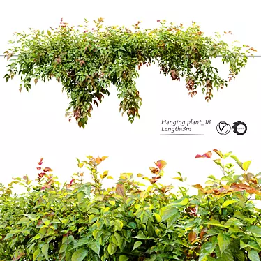 3m Hanging Plant: Realistic, Versatile, Vray & Corona materials 3D model image 1 