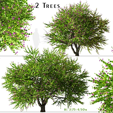 Exquisite Pair of Orchid Tree 3D model image 1 