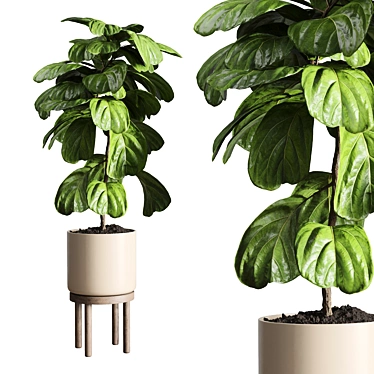 Wooden Vase Indoor Plant 3D model image 1 