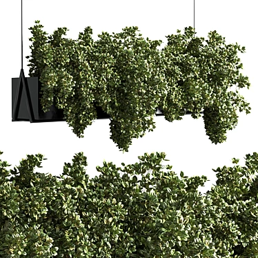 Metal Bax Vase: Collection of Indoor Hanging Plants 3D model image 1 