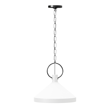 Limoges Large Pendant - Elegant Illumination 3D model image 1 
