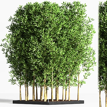Elegant 6-Part Indoor Plant Stand 3D model image 1 