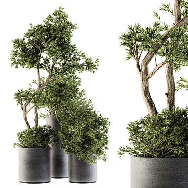 Green Oasis: Outdoor Plant Set 3D model image 1 