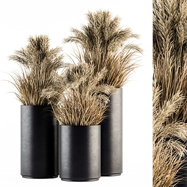 Lush Pampas Trio: 224 Indoor Plants 3D model image 1 