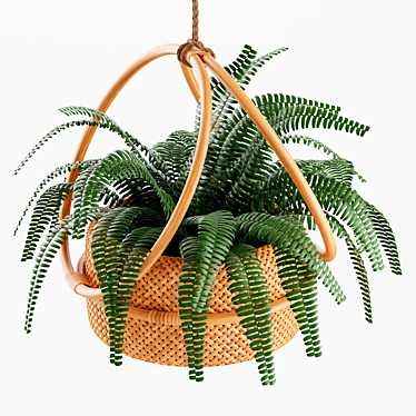 Natural Rattan Hanging Planter 3D model image 1 