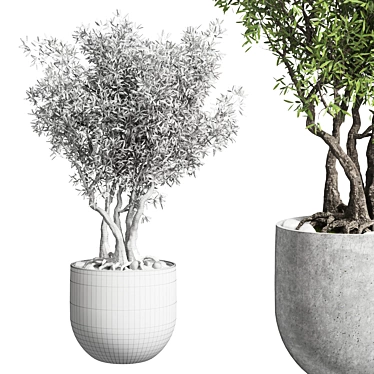 Modern Outdoor Plant Concrete Vase 3D model image 1 