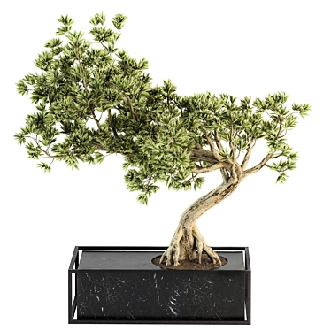 Zen Oasis Bonsai Set 3D model image 1 