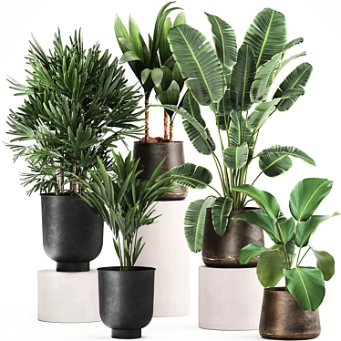 Exotic Plant Collection: Metal Pots & Decorative Vases 3D model image 1 