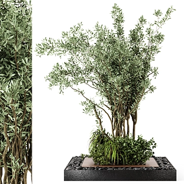 Outdoor Garden Set with Bush and Tree - 136 Varieties 3D model image 1 