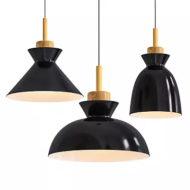 Nordic Metal Pendant Light 3D model image 1 