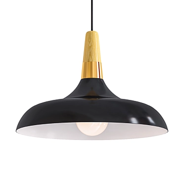 Nordic Metal Pendant Light 3D model image 1 