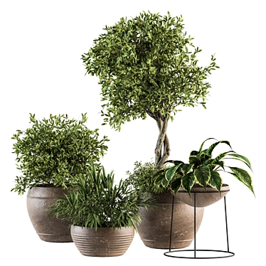 Garden Greenery Set - Potted Plants 3D model image 1 
