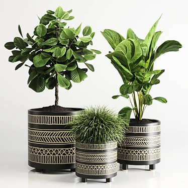 Handmade Pottery Vase for Indoor Plants 3D model image 1 
