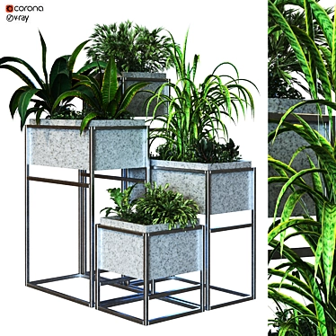 Lush Boxed Plant Set 3D model image 1 