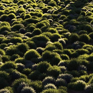 Unique Title: "Evergreen Meadow Grass 3D model image 1 