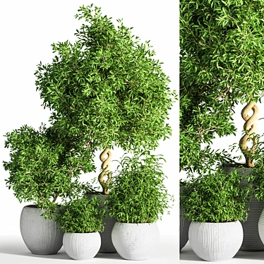 26-Piece Indoor Plant Set: Beautiful Rendrings 3D model image 1 
