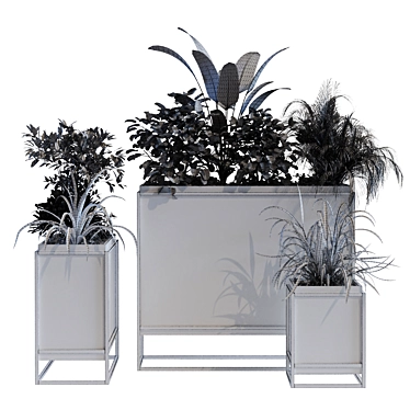 Elegant Indoor Plant Box Set 3D model image 1 