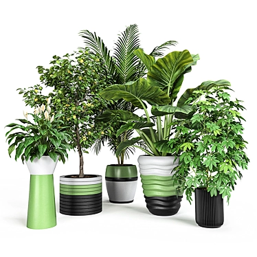 Exquisite Indoor & Outdoor Plant Set 3D model image 1 