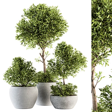Eco-Serene Indoor Plant Set 3D model image 1 