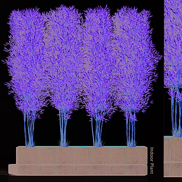 Indoor Plant Collection 2015 3D model image 1 