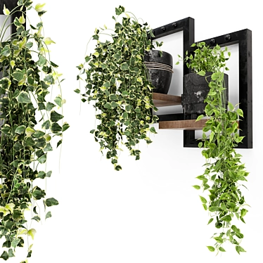 Rustic Indoor Plants - Set 150 3D model image 1 