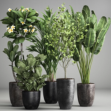 Exotic Plant Collection: Decorative Plants for Indoor and Outdoor with Concrete Vase 3D model image 1 