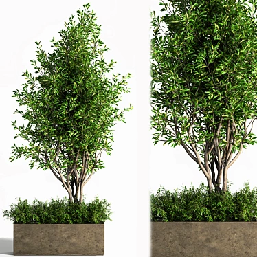 Concrete Box Outdoor Plant: Stunning and Low-Maintenance 3D model image 1 