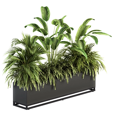 Tropical Paradise: Indoor Plant Set 3D model image 1 
