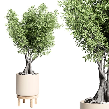 Vintage Wood Pot Indoor Plant 3D model image 1 