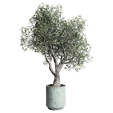 Handmade Metal Old Pot Outdoor Plant 3D model image 1 