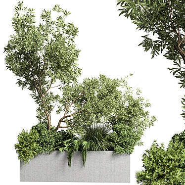 Outdoor Plant Collection: 36 Pot Bush Grass, Tree & Palm in Concrete Vases 3D model image 1 