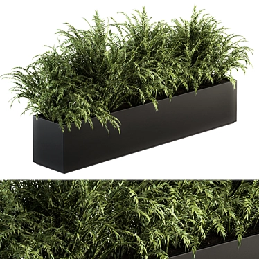 Polypodiales Plant Box Set: Outdoor Beauty 3D model image 1 