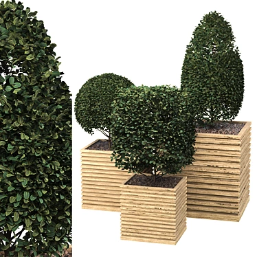 Outdoor Plant with FBX and OBJ 3D model image 1 