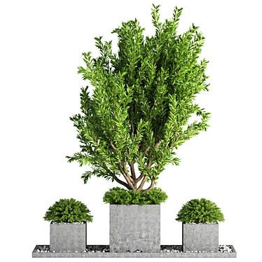 Lush Outdoor Tree - 19 3D model image 1 