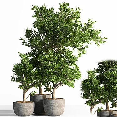 Versatile Outdoor Plant Set 3D model image 1 
