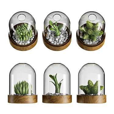 Botanical Bliss Glass Dome Set 3D model image 1 