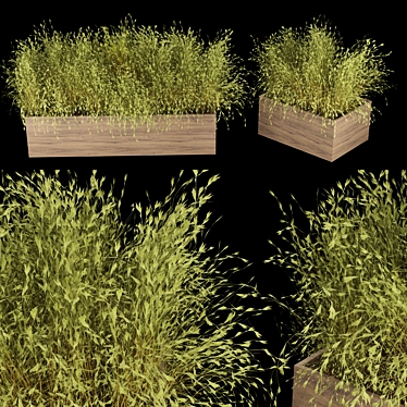 Premium Plant Collection Vol. 223 3D model image 1 