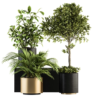 Green Oasis Indoor Plant Set 3D model image 1 