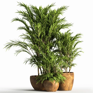 Elegant Indoor Plant Set 3D model image 1 