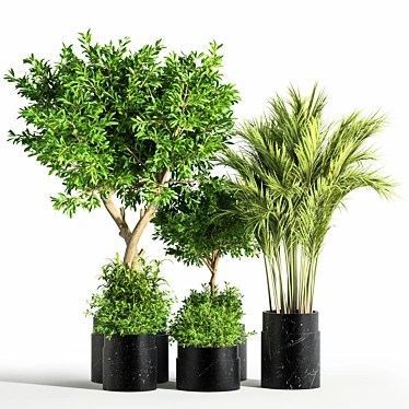 Green Oasis Indoor Plant Set 3D model image 1 