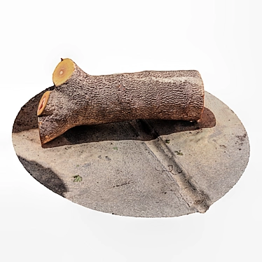 Rustic Tree Trunk Decor 3D model image 1 