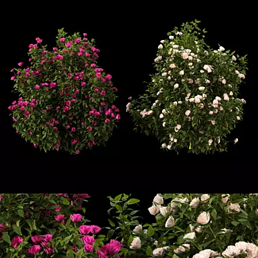 Blooming Bush Collection Vol. 4 3D model image 1 