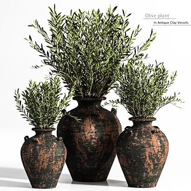 Antique Clay Olive Plant 3D model image 1 