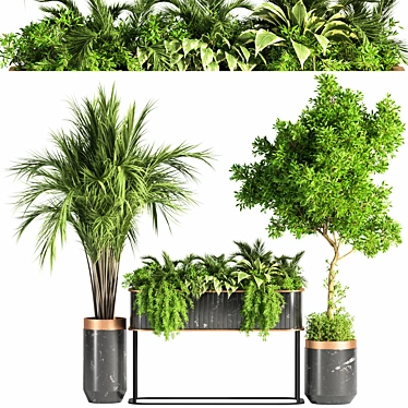 Green Oasis Indoor Plant Set 3D model image 1 